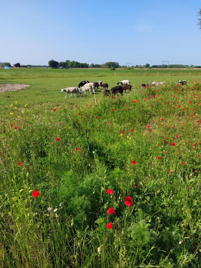 Boerderijkamer De Hooizolder Wijhe Exteriér fotografie